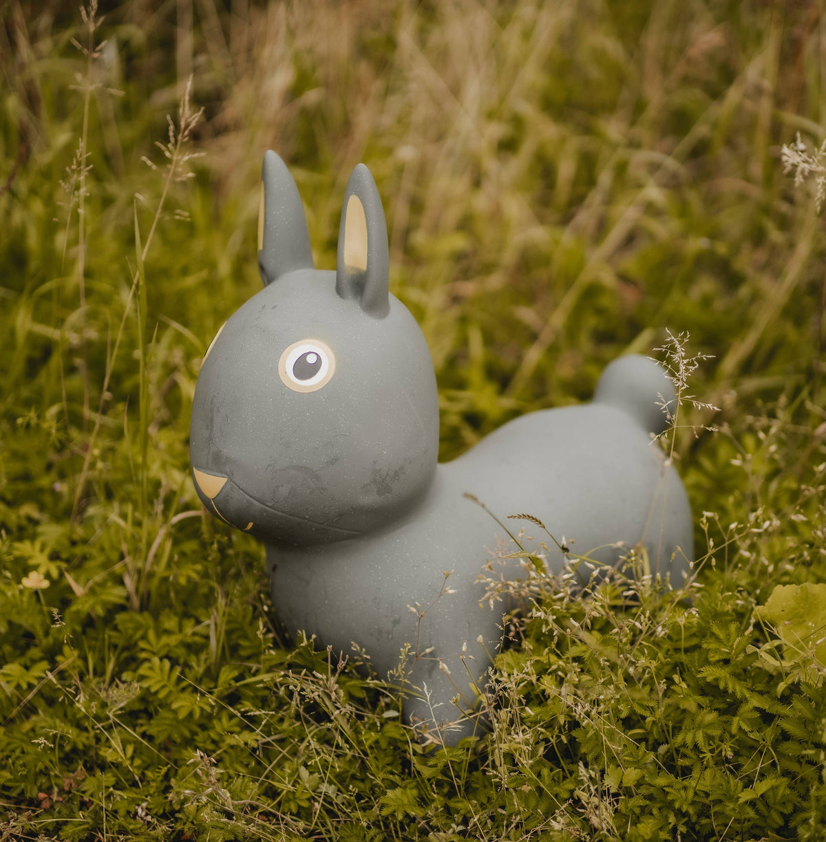 Rabbit Bouncy Hopper with Pump Ages 2+