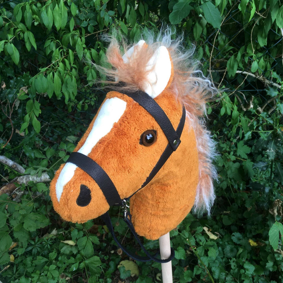 Hobby Horse — Fox Chestnut