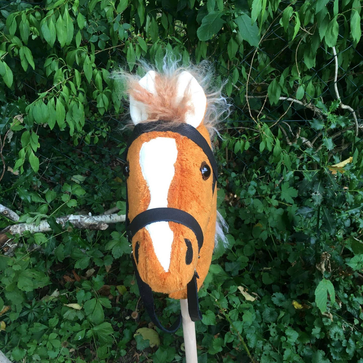 Hobby Horse — Fox Chestnut